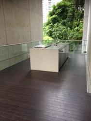 Martin No 38 (D9), Apartment #84244942